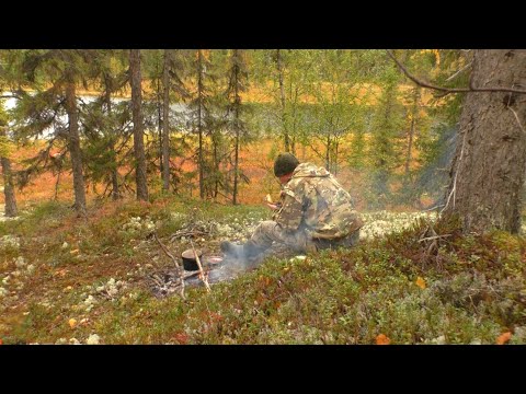 Видео: ОЗЕРО ,ГДЕ ТОЛЬКО ЩУКА. ТАКОЙ РЫБАЛКИ Я НЕ ОЖИДАЛ.