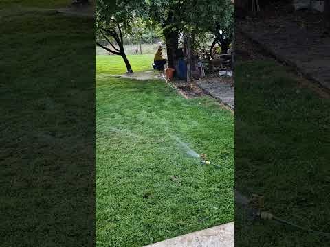 Видео: поливна система за райграса final