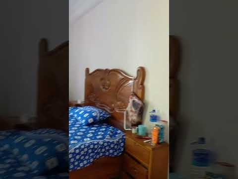 Видео: 4 ноября 2025 г.