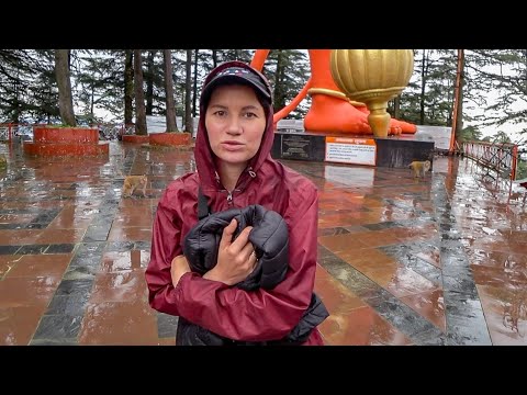Видео: Индия прямо сейчас. Страшно. Обезьяны захватили город. Шимла, Британская столица #61
