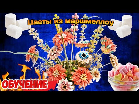 Видео: Цветы из маршмеллоу. Как сделать ромашки,маргаритки,цинию!