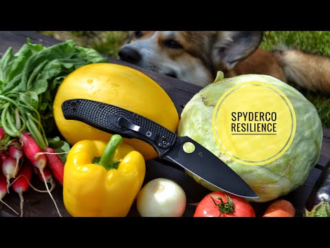 Видео: Spyderco Resilience Lightweight Black кухонный тест / test
