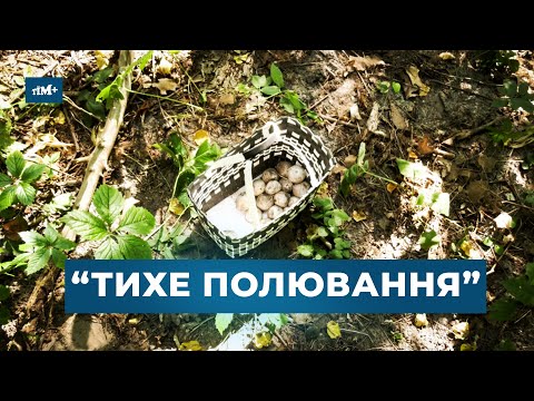 Видео: Все про веселку. "Тихе полювання" зі Світланою Жуковою