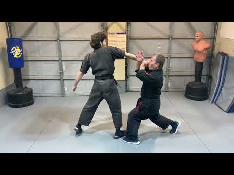 Видео: Кэмпо: Скользящее копьё | Джейми Сибрук