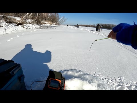 Видео: ПОСТАВИЛ ТЯЖЕЛУЮ МОРМЫШКУ и НАЛОВИЛ РЫБЫ! ОБЛОВИЛ ВСЕХ на льду! ЭХОЛОТ ПЕСТРИТ ОТ РЫБЫ. РЫБАЛКА 2024