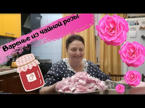 Видео: Варенье из чайной розы