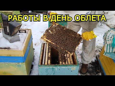 Видео: Когда подставлять пергу? Первый день работы на пасеке