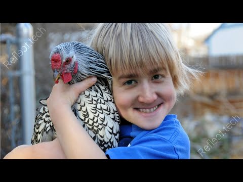 Видео: Jeens попал в петуховую ловушку в Skyrim Requiem #2