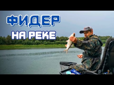 Видео: Рыбалка на фидер. Мощные поклевки на фидер. Рыбалка 2023.
