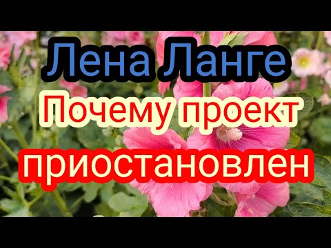 Видео: Лена Ланге.Странный шортс,о чем она?