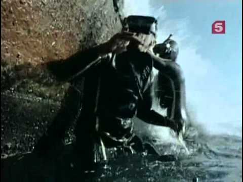 Видео: 35 1976 Тайны подводных рифов - Подводная одиссея команды Кусто