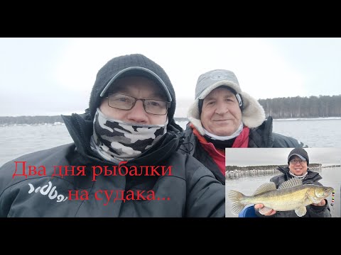 Видео: Два дня ловим судака...Итоги.