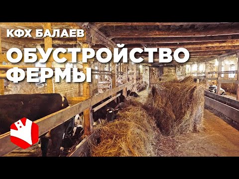 Видео: Обустройство фермы | Сельскохозяйственная техника | Молочное животноводство и растениеводство