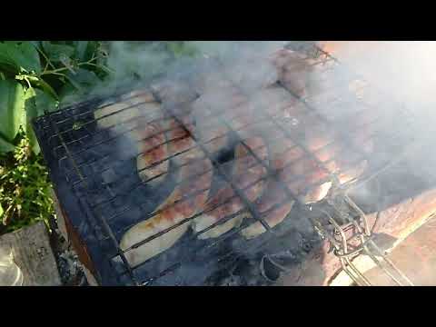 Видео: 3 сентября 2025 г.