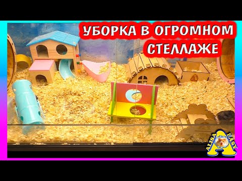 Видео: Уборка и   новая мебель для хомяков / Милку обижают / Алиса Изи Петс / Alisa Easy Pets