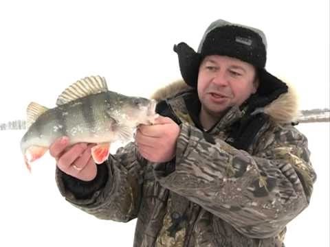 Видео: Рыбак Рыбаку 116 "Окунь на малька".