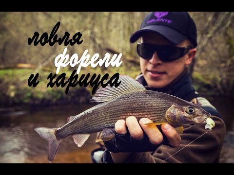 Видео: Ловля форели и хариуса. Реки Литвы часть 2.