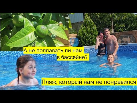 Видео: Второй день волны на море. Пляж Лоо оставляет желать лучшего. Они ещё зелёные, мандарины. 