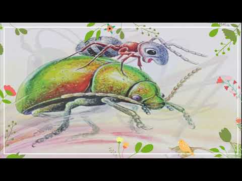 Видео: КАК МУРАВЬИШКА ДОМОЙ СПЕШИЛ АУДИОСКАЗКА