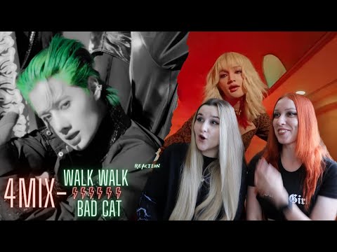 Видео: Reaction  นางเเมว(BAD CAT) : 4MIX | 4MIX - WALK WALK | Реакция на 4MIX #4MIXWalkWalk #WalkWalk #4MIX