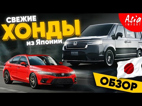 Видео: Новые Honda Civic и Stepwgn по низким ценам‼️