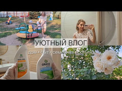Видео: Организация порядка🫧