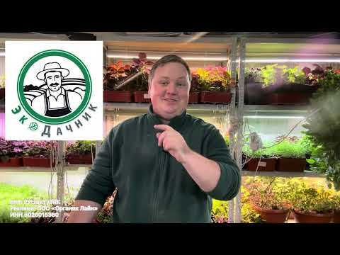 Видео: Выгонка тюльпанов - всё гораздо проще!😍🥰🌷🌷🌷