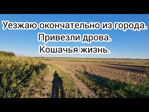 Видео: Уезжаю окончательно из города. Привезли дрова. Кошачья жизнь.
