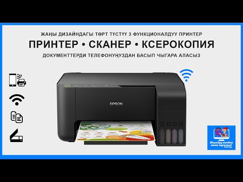 Видео: 4 функционалдуу Epson принтердин башкы өзгөчөлүктөрү