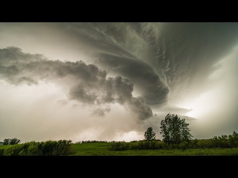 Видео: Не из тучушки ветерочки дуют