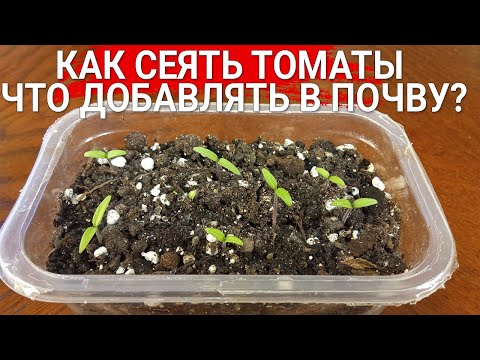 Видео: Как сеять томаты - что добавлять в почву?