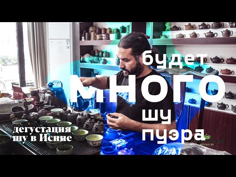 Видео: Дегустация шу пуэра в Исине