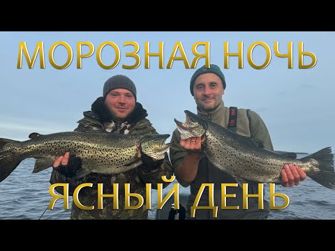 Видео: КРАСАВИЦА КУМЖА! ТАЕЖНАЯ ИЗБА И БАНЯ! КУЛИНАРНЫЕ ШЕДЕВРЫ ОТ ШЕФА!