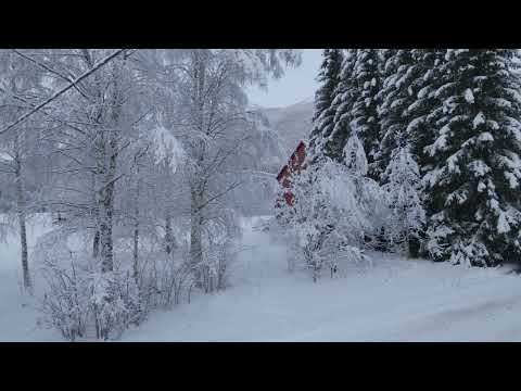 Видео: Зима за полярным кругом. Снежное путешествие на север. НОРВЕГИЯ 