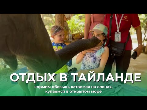 Видео: ОТДЫХ В ТАЙЛАНДЕ | КОРМИМ ОБЕЗЬЯН, КАТАЕМСЯ НА СЛОНАХ, КУПАЕМСЯ В ОТКРЫТОМ МОРЕ