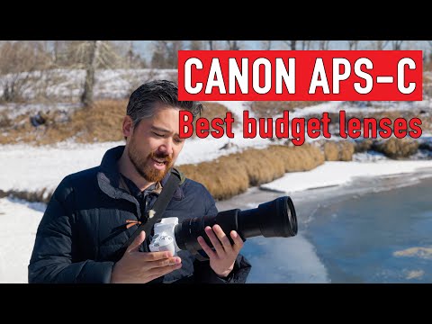 Видео: Лучшие бюджетные объективы для зеркальных фотокамер Canon APS-C