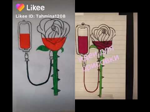 Видео: ХУДОЖНИКИ ЛАЙК