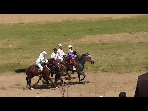 Видео: Бышты Жорго