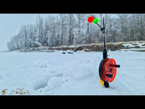 Видео: СИЛЬНАЯ РЫБА ГНЁТ КОМБАЙНЫ! НАТКНУЛИСЬ НА СТАЮ КРУПНЯКА! Рыбалка на комбайн