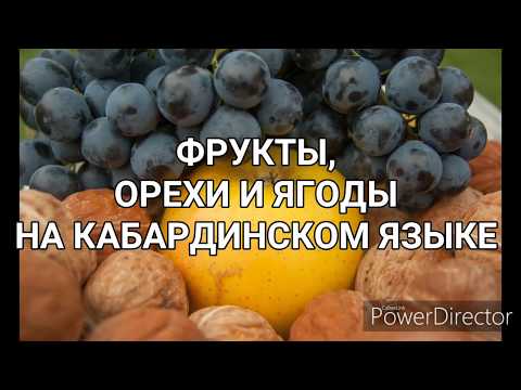 Видео: ФРУКТЫ, ОРЕХИ И ЯГОДЫ НА КАБАРДИНСКОМ ЯЗЫКЕ