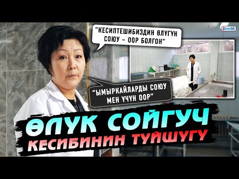 Видео: Өлүк сойгуч кесибинин түйшүгү | “Кесиптешибиздин өлүгүн союу – оор болгон”