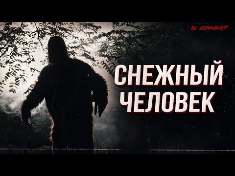Видео: Снежный человек | Страшные истории | Мистика | НЕ ОБОРАЧИВАЙСЯ