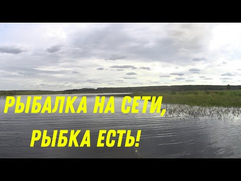 Видео: Рыбалка на сети, рыбка есть!