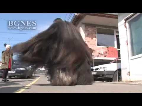 Видео: Кукерски костюм от Бургас е с най-дълъг косъм в страната