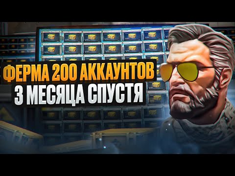 Видео: СКОЛЬКО ПРИНЕСЛА ФЕРМА 200 АККАУНТОВ ЗА 3 МЕСЯЦА?