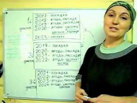 Видео: Как заработать на клубнике. Часть 2. Лучшая планировка участка.