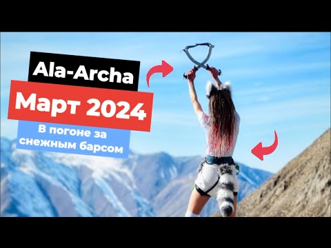 Видео: Альпсборы Ала-Арча 2024. Восхождение на пик Рацека, закрытие 3-го разряда по альпинизму!