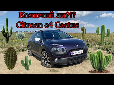 Видео: Тест Драйв Citroen c4 Cactus