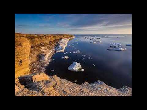 Видео: Интересные факты о полуострове Таймыр