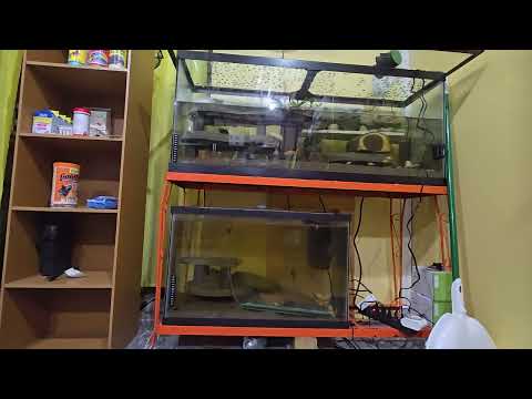 Видео: Вот чем я занимался на этой неделе.